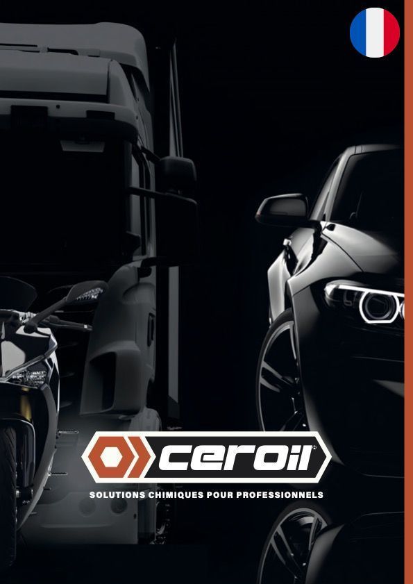 Télecharger Catalogue (Français) actualisé 2026