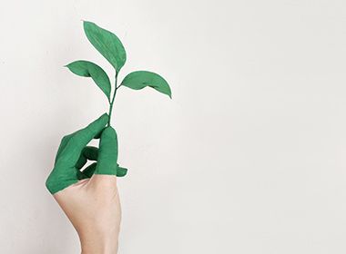 RESPECTUEUX DE L’ENVIRONNEMENT